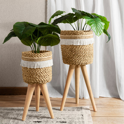Leggy Pot Set
